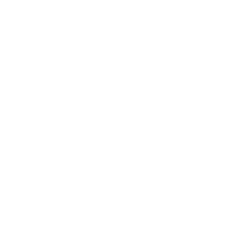 EXPERT