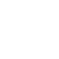 PERFORMANCE